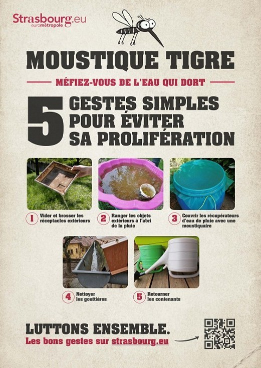moustiques