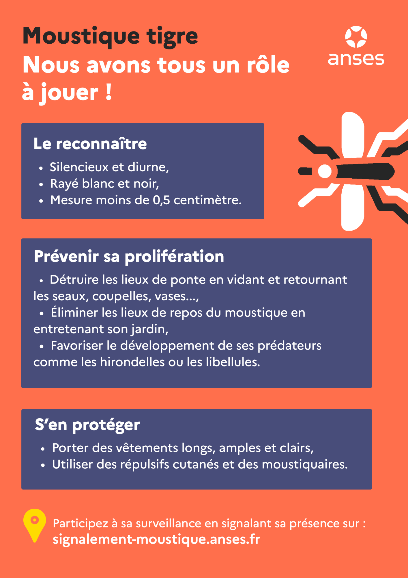 moustiques2
